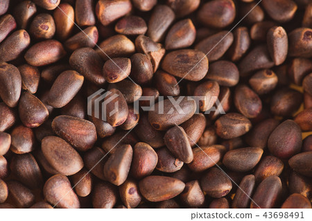 Pine nuts in shells of ciberian cedar as a background. Macro Pine nuts in shells of ciberian cedar as a background. Macro 43698491