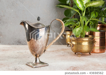 Vintage metal coffee pot and green plants Vintage metal coffee pot and green plants 43698562