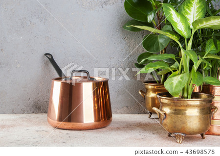 Vintage copper casserole and green plants 43698578