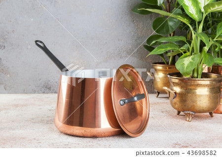 Vintage copper casserole and green plants 43698582