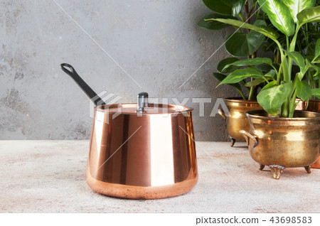 Vintage copper casserole and green plants 43698583