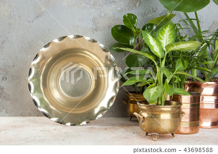 Vintage metal vase and green plants Vintage metal vase and green plants 43698588