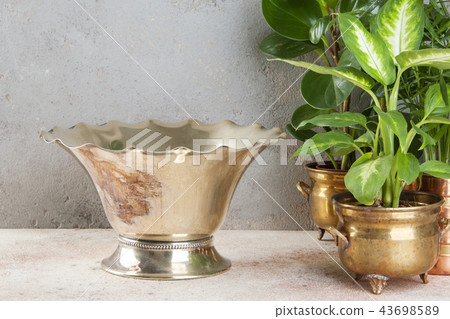 Vintage metal vase and green plants 43698589