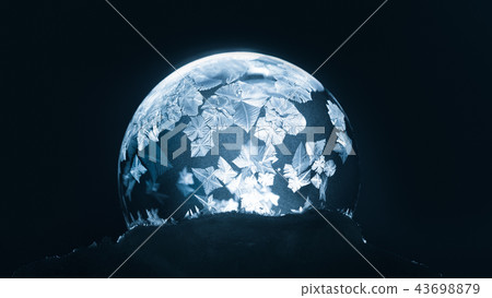 Christmas Snow Globe Snowflake Frozen Christmas Snow Globe Snowflake Frozen 43698879