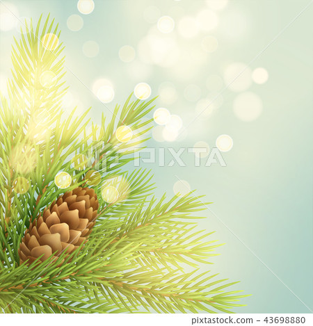 Realistic fir-tree branch with pinecone illustration Realistic fir-tree branch with pinecone illustration 43698880