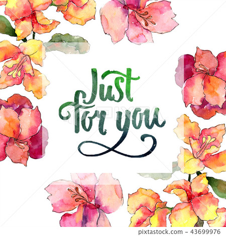Watercolor colorful alstroemeria flower. Floral botanical flower. Frame border ornament square. Watercolor colorful alstroemeria flower. Floral botanical flower. Frame border ornament square. 43699976