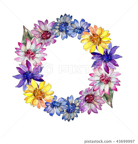 Watercolor colorful african daisy flower. Floral botanical flower. Frame border ornament square. 43699997