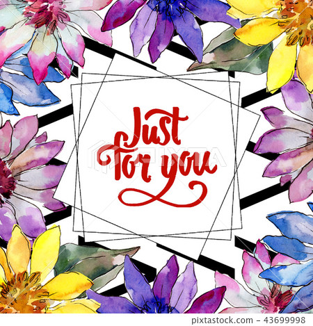 Watercolor colorful african daisy flower. Floral botanical flower. Frame border ornament square. 43699998