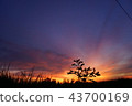 Beautiful  dramatic twilight sunset Landscape 43700169