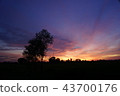 Beautiful  dramatic twilight sunset Landscape 43700176