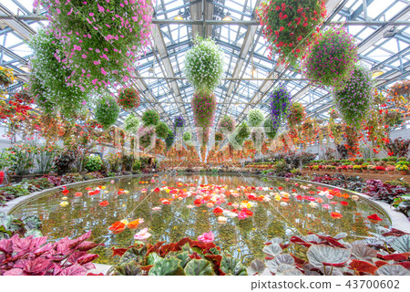 Begonia Garden (Nana no Sato) 43700602