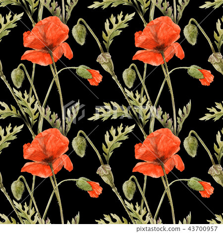 Red Poppy field seamless pattern by watercolor 43700957