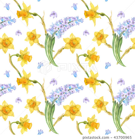 Watercolor seamless pattern hyacinth and daffodil Watercolor seamless pattern hyacinth and daffodil 43700965