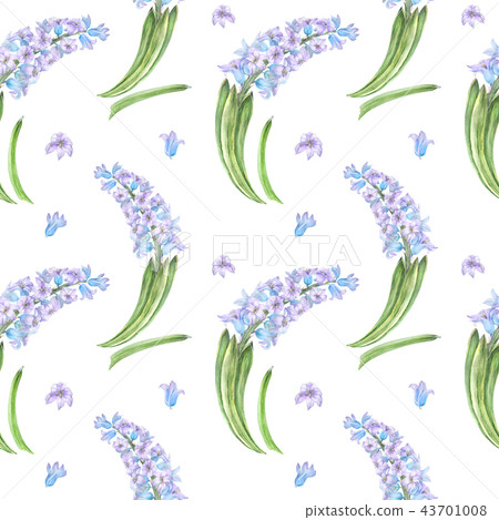 Watercolor seamless pattern with blue hyacinth 43701008