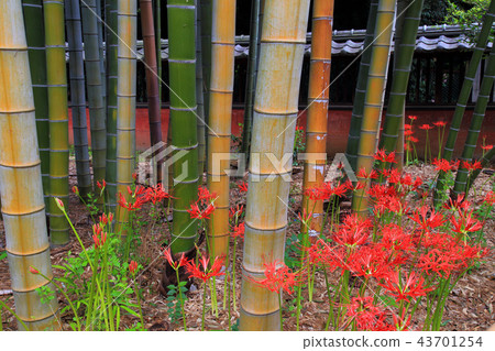 高河泉石住宅,古河氏族長者 高河泉石住宅,古河氏族長者 43701254