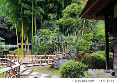高河泉石住宅,古河氏族長者 高河泉石住宅,古河氏族長者 43701255