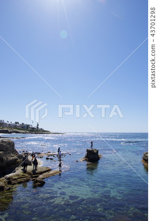 The coast of La Jolla in San Diego, California, USA 43701298