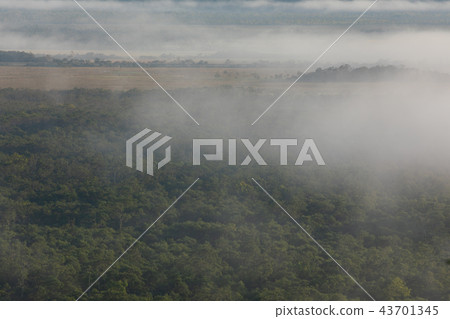 雲海的釧路濕地 43701345