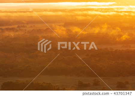 雲海的釧路濕地 43701347