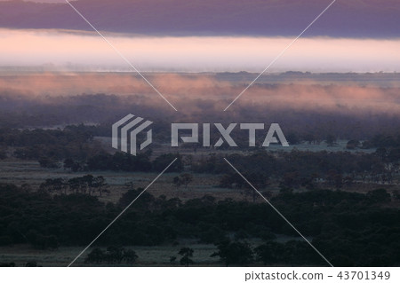 Kushiro wetland of the sea of clouds 43701349
