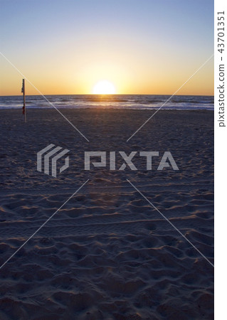 在太平洋海灘的日落在聖地亞哥，加利福尼亞，美國 43701351