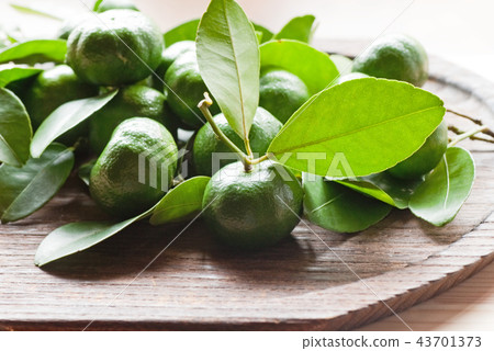 Blue cut Seeker Soa Shikuwasa Hirami lemon (scientific name Citrus depressa) 43701373