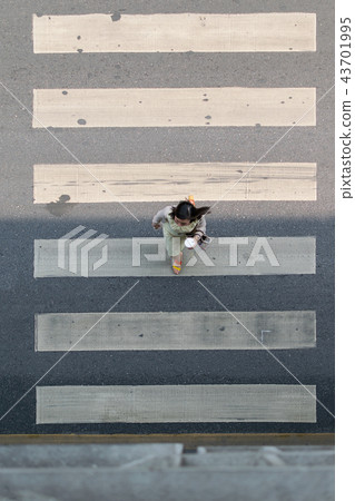 Crosswalk or Zebra crossing in Bangkok city Crosswalk or Zebra crossing in Bangkok city 43701995