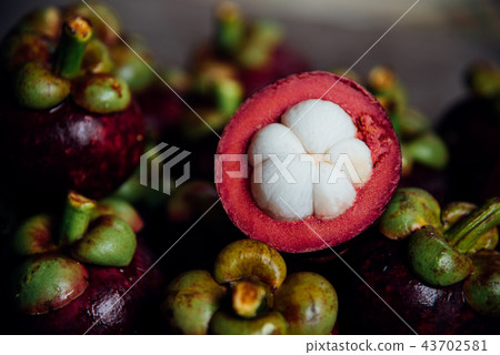 Mangosteen a queen of fruit at fruit market Mangosteen a queen of fruit at fruit market 43702581