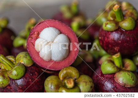 Mangosteen a queen of fruit at fruit market 43702582