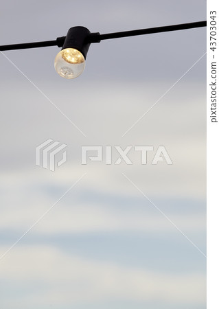 LED, Bulb, Jeju Island, Korea 43703043