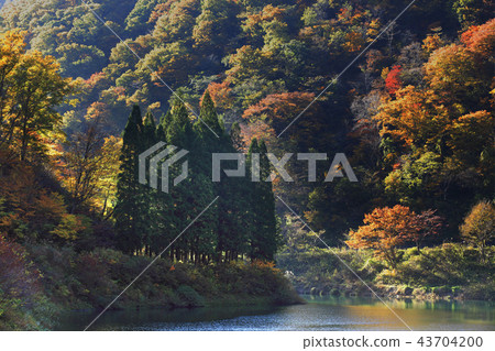 Gifu Kamigake Dam Lake 43704200