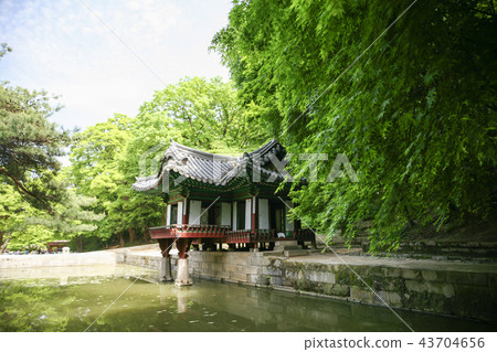 首爾，韓國，紫禁城，昌德宮 43704656