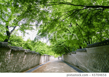 首爾,韓國,紫禁城,昌德宮 首爾,韓國,紫禁城,昌德宮 43704658