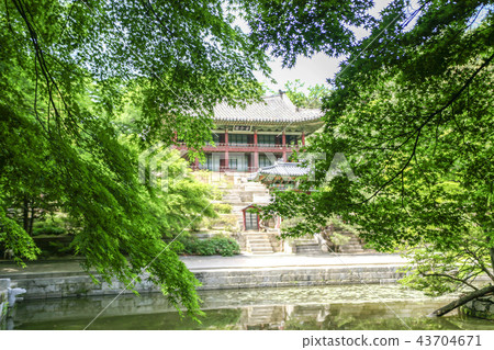 首爾,韓國,紫禁城,昌德宮 首爾,韓國,紫禁城,昌德宮 43704671