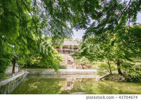 Seoul, Korea, Forbidden City, Changdeokgung Palace 43704674