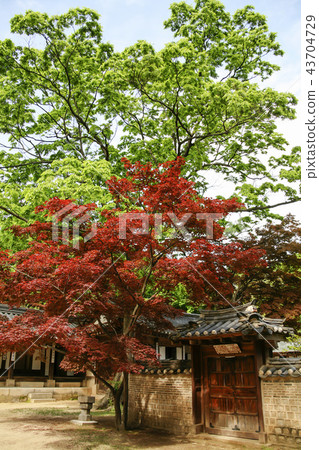 Seoul, Korea, Forbidden City, Changdeokgung Palace 43704729