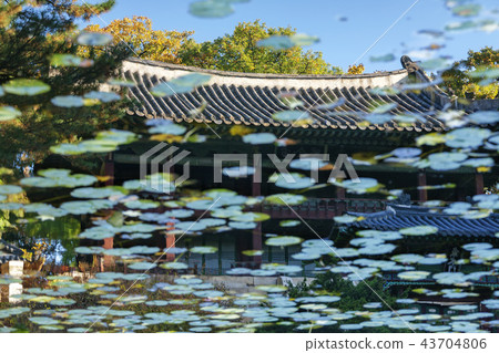 首爾,韓國,紫禁城,昌德宮 首爾,韓國,紫禁城,昌德宮 43704806