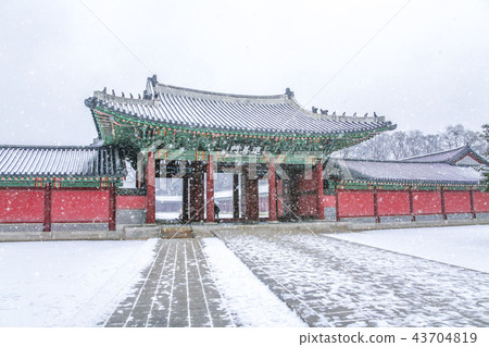 首爾，韓國，紫禁城，昌德宮 43704819