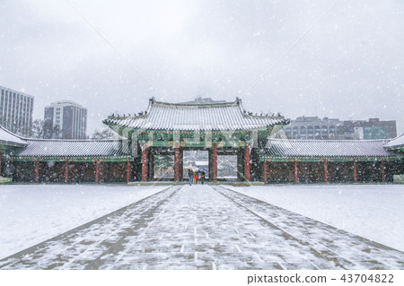 首爾，韓國，紫禁城，昌德宮 43704822