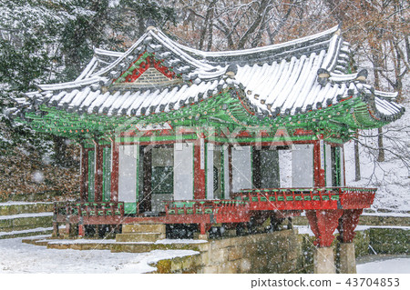 首爾，韓國，紫禁城，昌德宮 43704853