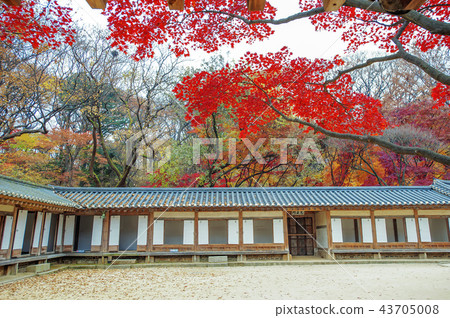 首爾,韓國,紫禁城,昌德宮 首爾,韓國,紫禁城,昌德宮 43705008