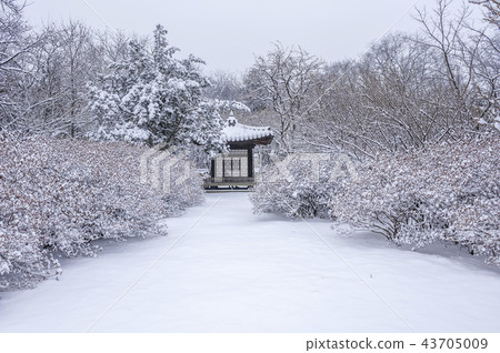 首爾,韓國,紫禁城,昌德宮 首爾,韓國,紫禁城,昌德宮 43705009