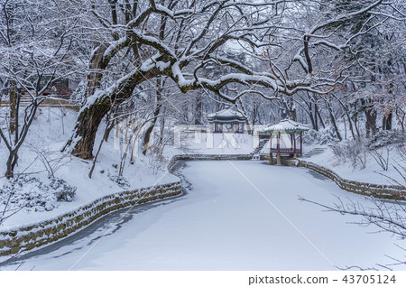 Seoul, Korea, Forbidden City, Changdeokgung Palace 43705124