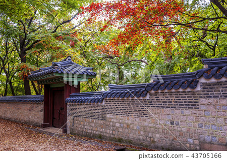 首爾，韓國，紫禁城，昌德宮 43705166