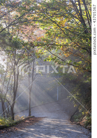 Chungcheongbuk-do,Chungbuk,Korea,Okcheon,Yongam Chungcheongbuk-do,Chungbuk,Korea,Okcheon,Yongam 43705367