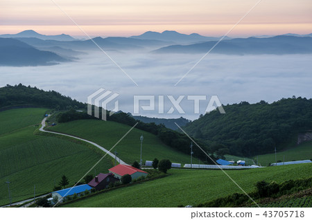 Gangwon Province, Korea, Gangneung, 43705718
