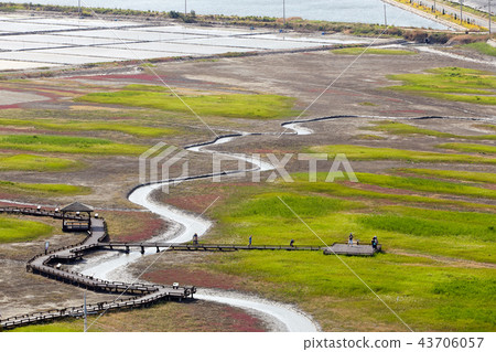Salted plant communities in the province of Shinan County in Chonnam 43706057