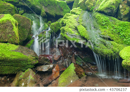 Gangwon Province, Korea, Sangdong, Moss Valley Gangwon Province, Korea, Sangdong, Moss Valley 43706237