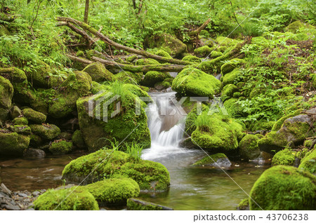 Gangwon Province, Korea, Sangdong, Moss Valley Gangwon Province, Korea, Sangdong, Moss Valley 43706238