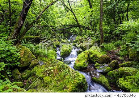 韓國江原道,桑東,莫斯谷 韓國江原道,桑東,莫斯谷 43706340